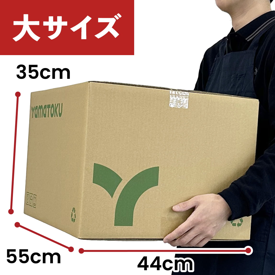 宅配キット大サイズを持った様子